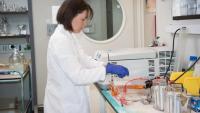 Researcher working in lab